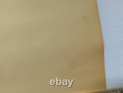 1971 Marvel Silver Surfer Third Eye Black Light Poster I'm Changing