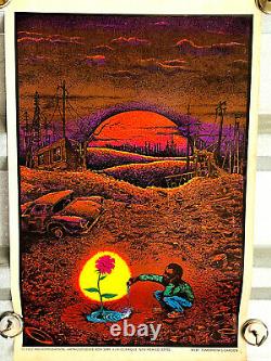 1972 Tomorrow's Garden Blacklight Hippie Civil Rights Poster black power m141