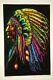 1972 Vintage Rare Flocked Blacklight Poster Native Indian Chief Aa Sales