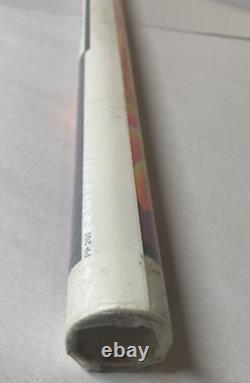 1973 Pegasus Blacklight Poster by screenprint NOS Vintage never opened