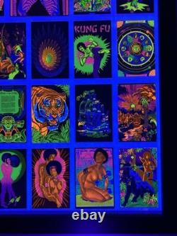 1975 Velvet Flocked Black Light Posters Catalog Display DOUBLE SIDED/FRAMED