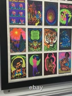 1975 Velvet Flocked Black Light Posters Catalog Display DOUBLE SIDED/FRAMED