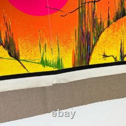 Black panther vintage blacklight poster 1973 pro arts velvet flocked 28 X 20