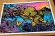 Blacklight Velvet Poster Funky Enterprises 1978 Rare Jaguar #133 Tree Pond 23x36