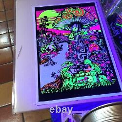 COLLECTION OF 22 Black Light Posters Flocked, 24 x 36 with new frames FREE SHIP