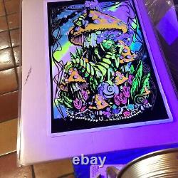 COLLECTION OF 22 Black Light Posters Flocked, 24 x 36 with new frames FREE SHIP