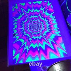 COLLECTION OF 22 Black Light Posters Flocked, 24 x 36 with new frames FREE SHIP