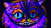 Cheshire Glow Cat Blacklight Uv Learn To Paint In Uv Blacklight