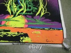 Devil Woman 1971 black light poster vintage psychedelic C639