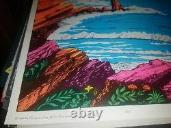 ENCHANTED WORLD 1968 VINTAGE BLACKLIGHT NOS POSTER By CELESTIAL ARTS -NICE