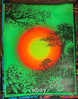 IN THE EVENING VINTAGE 1970 BLACKLIGHT POSTER By SYNTHETIC TRIP McCULLY -NICE