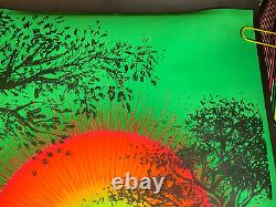 IN THE EVENING VINTAGE 1970 BLACKLIGHT POSTER By SYNTHETIC TRIP McCULLY -NICE