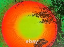 IN THE EVENING VINTAGE 1970 BLACKLIGHT POSTER By SYNTHETIC TRIP McCULLY -NICE