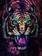 Jungle Cat Blacklight Poster 1970's Western Graphics Corporation 32 X 21.5 Nos