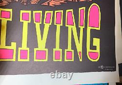 LOVE IS LIVING VINTAGE 1970 BLACKLIGHT SURFER POSTER THIRD EYE By Bonita Versh