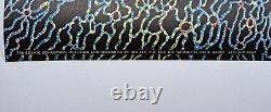 NOS Vintage 1971 Perryn Gorchov Cosmic Conception THO-FRA Black Light Poster