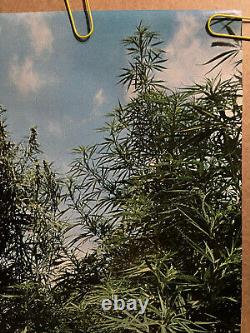 Original Vintage Poster Things are looking up marijuana weed calendar 1975 pot
