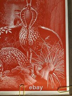 Original Vintage Poster Wilfred Start Red Birds Psychedelic Black Light Pin Up