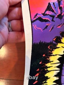 RARE 1974 VELVET BLACK LIGHT CHEIFTAIN INDIAN HEAD POSTER MONARCH PUB. 11x17