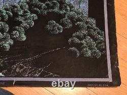 RaRe VinTagE MOORCASTLE VELVET BLACK LIGHT POSTER Victorian Haunted House