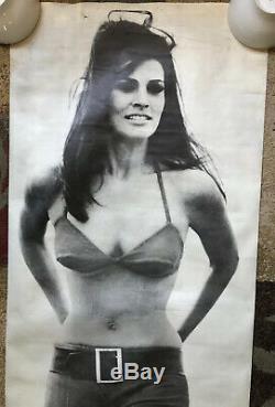 Raquel Welch Vintage Poster movie memorabilia Headshop Sexy Celebrity Pinup 60s