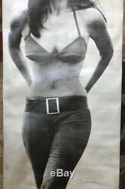 Raquel Welch Vintage Poster movie memorabilia Headshop Sexy Celebrity Pinup 60s