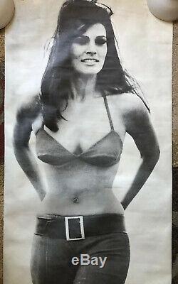 Raquel Welch Vintage Poster movie memorabilia Headshop Sexy Celebrity Pinup 60s