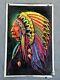 Rare Vintage 1972 Velva-print Pp 14-15 Indian Chief Velvet Blacklight Poster