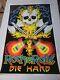 Rock And Roll Vintage Flocked Blacklight Poster Scorpio Press 1985