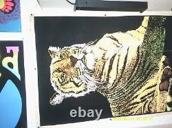 Tiger black light poster 30x 42 1971 vintage used condition out of print
