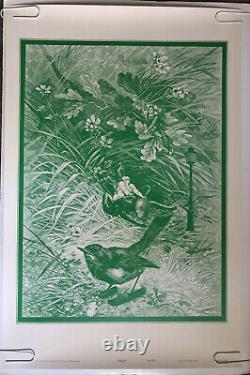 Tweet Vintage Black Light Poster Wilfred Satty Celestial Arts Psychedelic Bird