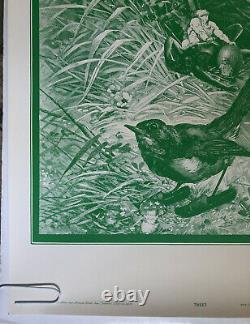 Tweet Vintage Black Light Poster Wilfred Satty Celestial Arts Psychedelic Bird