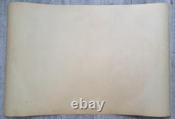 Vintage 1970 Psychedelic Abstract Black Light Poster 36 x 23 Gemini Rising Inc