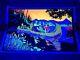 Vintage 1970's Canoe Trip Aa Sales Screenprint Blacklight Poster