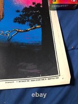 Vintage 1970's Canoe Trip AA Sales Screenprint Blacklight Poster