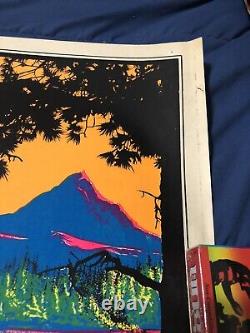 Vintage 1970's Canoe Trip AA Sales Screenprint Blacklight Poster