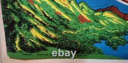 Vintage 1971 Houston blacklight & Poster Zodiac Rare #1 Of 6 In Set