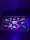 Vintage 1973 Zodiac Lovers #138 (b) Blacklight Velvet Poster 23 X 35 Rare Htf