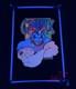 Vintage 1997 Graffix Boxer Jester Big 48 Flocked Blacklight 23x25 Poster Usa