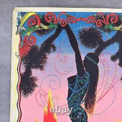 Vintage 70's Black Light Poster Desert Blossom Original 26 x 40 psychedelic