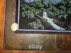 Vintage 70s Blacklight Poster Moon Castle Western Graphics USA Velvet 33x21