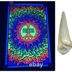 Vintage 90's Psychedelic Peace 23x35 Blacklight Poster Rap City Basement NEW