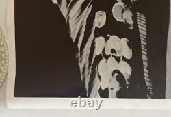 Vintage Blacklight Poster Original Led Zeppelin Robert Plant Concert 1970s