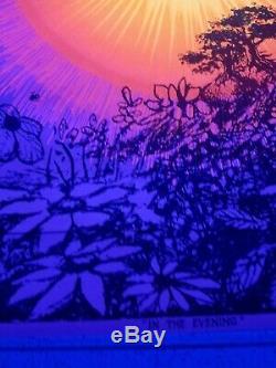 Vintage Blacklight Poster Synthetic Trips In The Evening Mscully McCully 1970