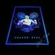 Vintage Bruce Lee Dragon Eyes Flocked Velvet 23x35 Blacklight Poster Scorpio