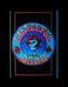 Vintage Grateful Dead Bertha Pop Art 23x35 Flocked Blacklight Poster Usa New