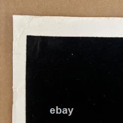 Vintage Original 1974 Blacklight Flocked Avalon Poster Velvet Medieval Castle