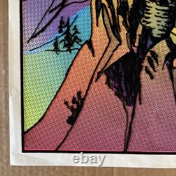 Vintage Original 1974 Blacklight Flocked Avalon Poster Velvet Medieval Castle