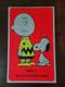 Vintage Peanuts Charlie Brown Snoopy Woodstock Blacklight Poster 60s 70s Vivid