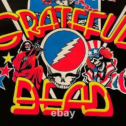 Vintage Rock & Roll Grateful Dead Logo Skull Roses Flocked Black Light Poster